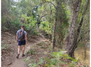 Persona caminando en el bosque como metáfora del proceso de cambio hacia una vida saludable