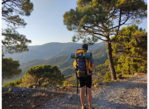 Caminata en la naturaleza como símbolo de equilibrio y misión personal hacia una vida saludable